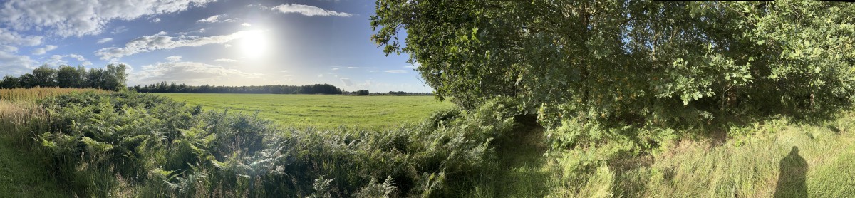 Afbeelding van Vakantieappartement Landgoed Eik & Linde