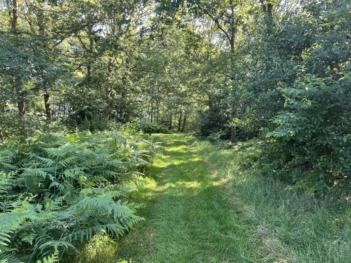 Afbeelding van Vakantieappartement Landgoed Eik & Linde