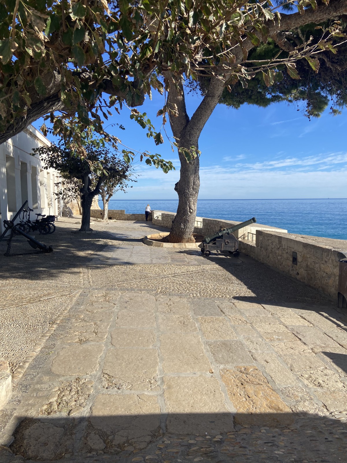 Afbeelding van Vista al mar