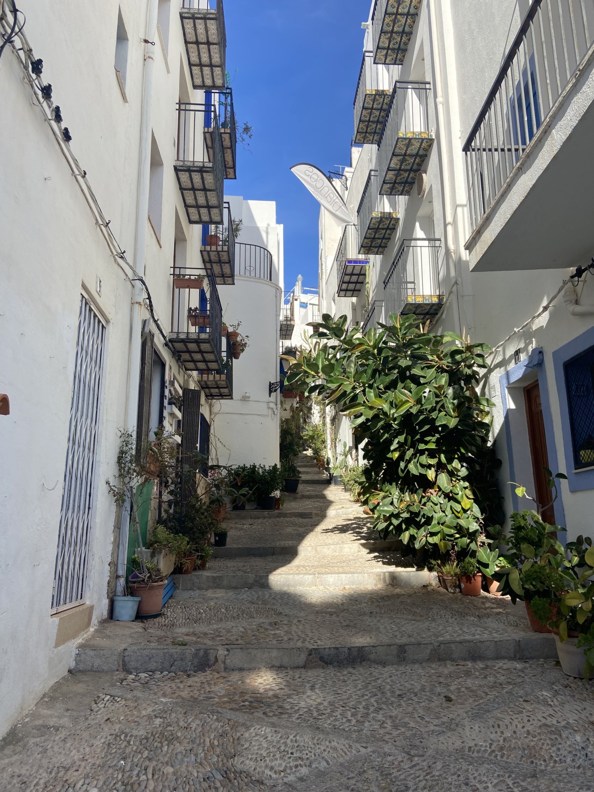 Afbeelding van Vista al mar