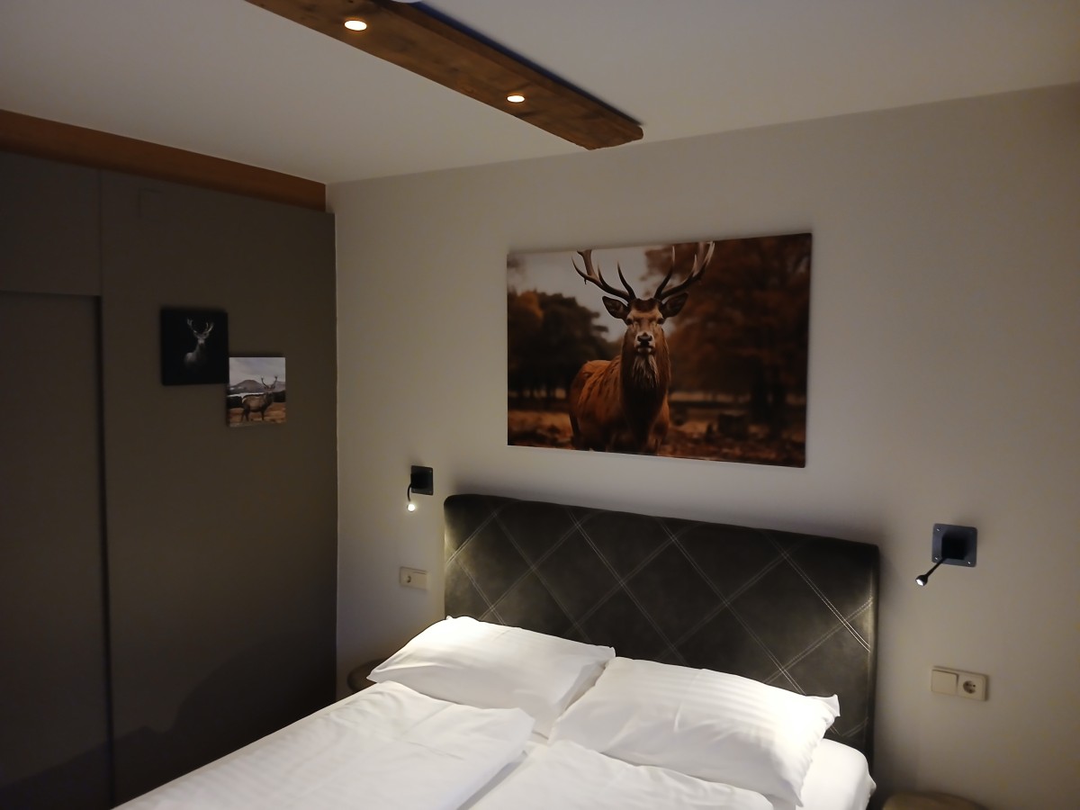 Afbeelding van Vierpersoonskamer met Uitzicht op de Bergen