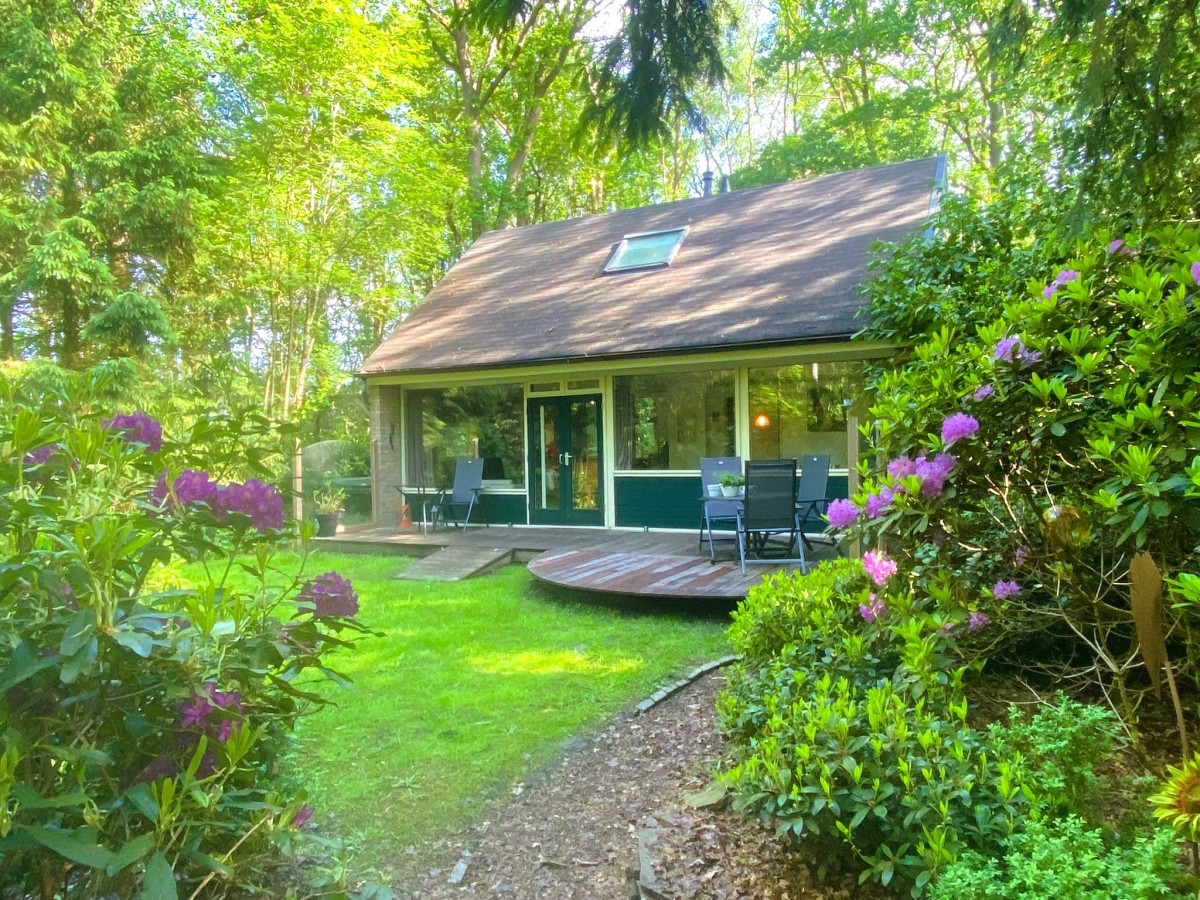 Afbeelding van Boshuisje Wateren I