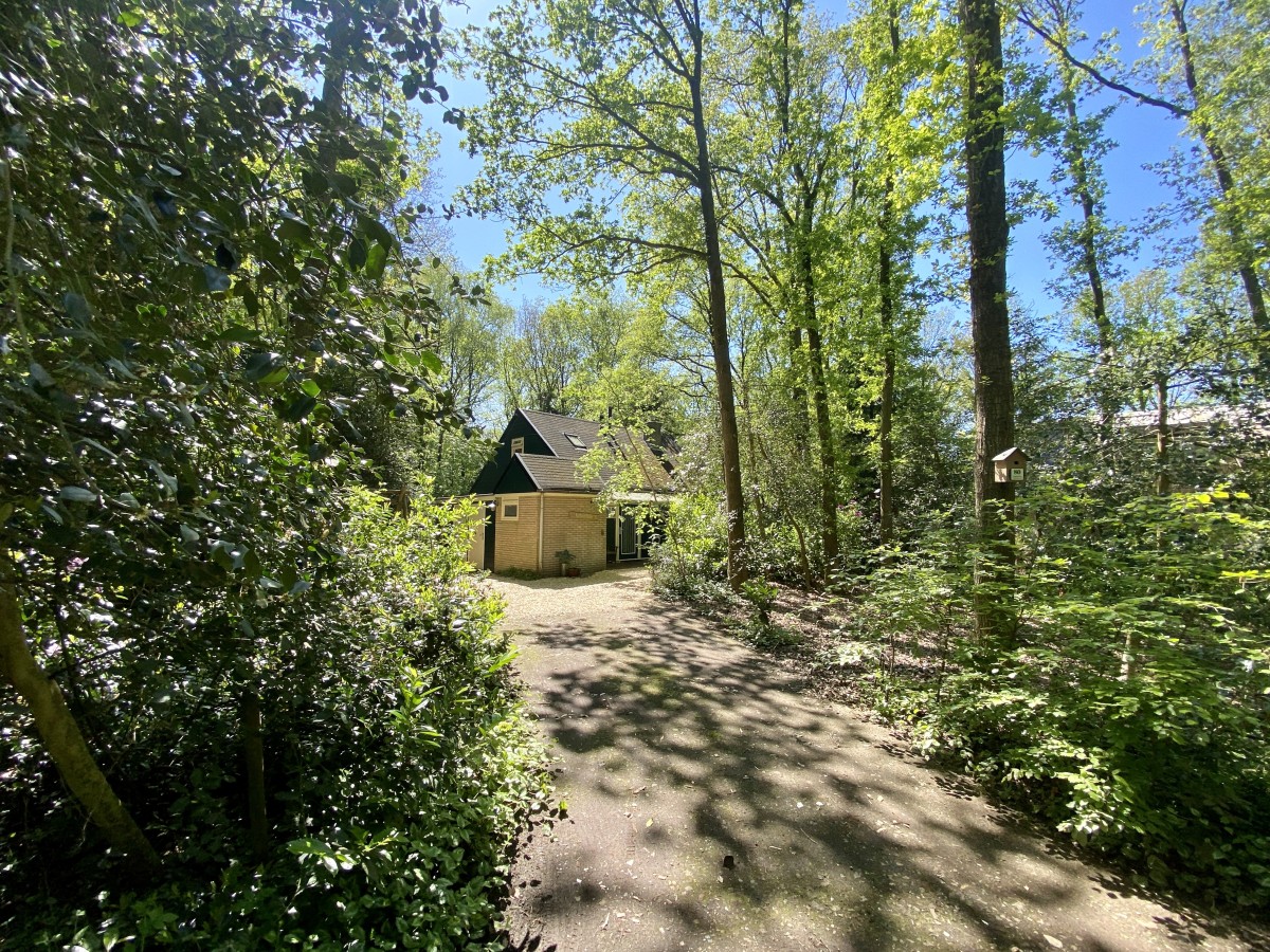 Afbeelding van Boshuisje Wateren I