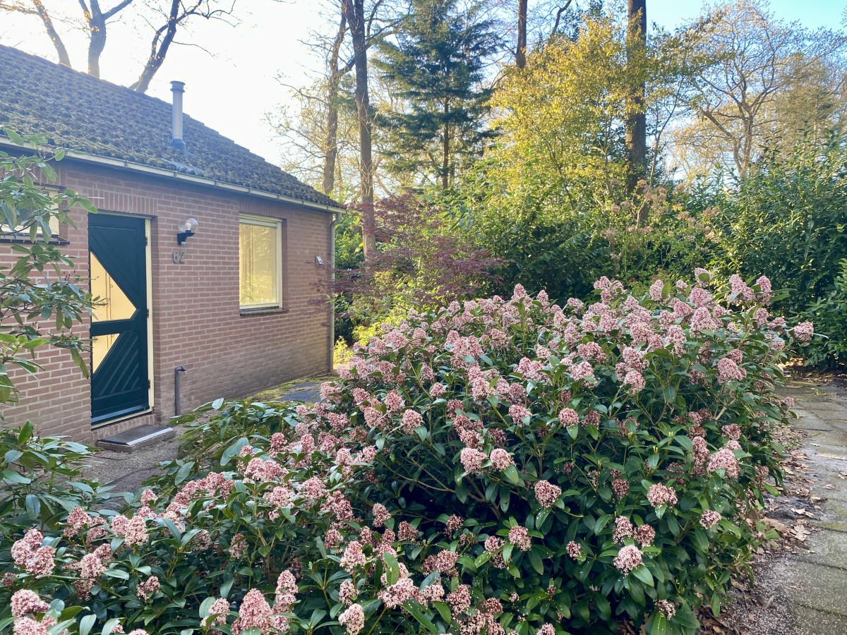 Afbeelding van Boshuisje Doldersum tuin omheind prachtig uitzicht