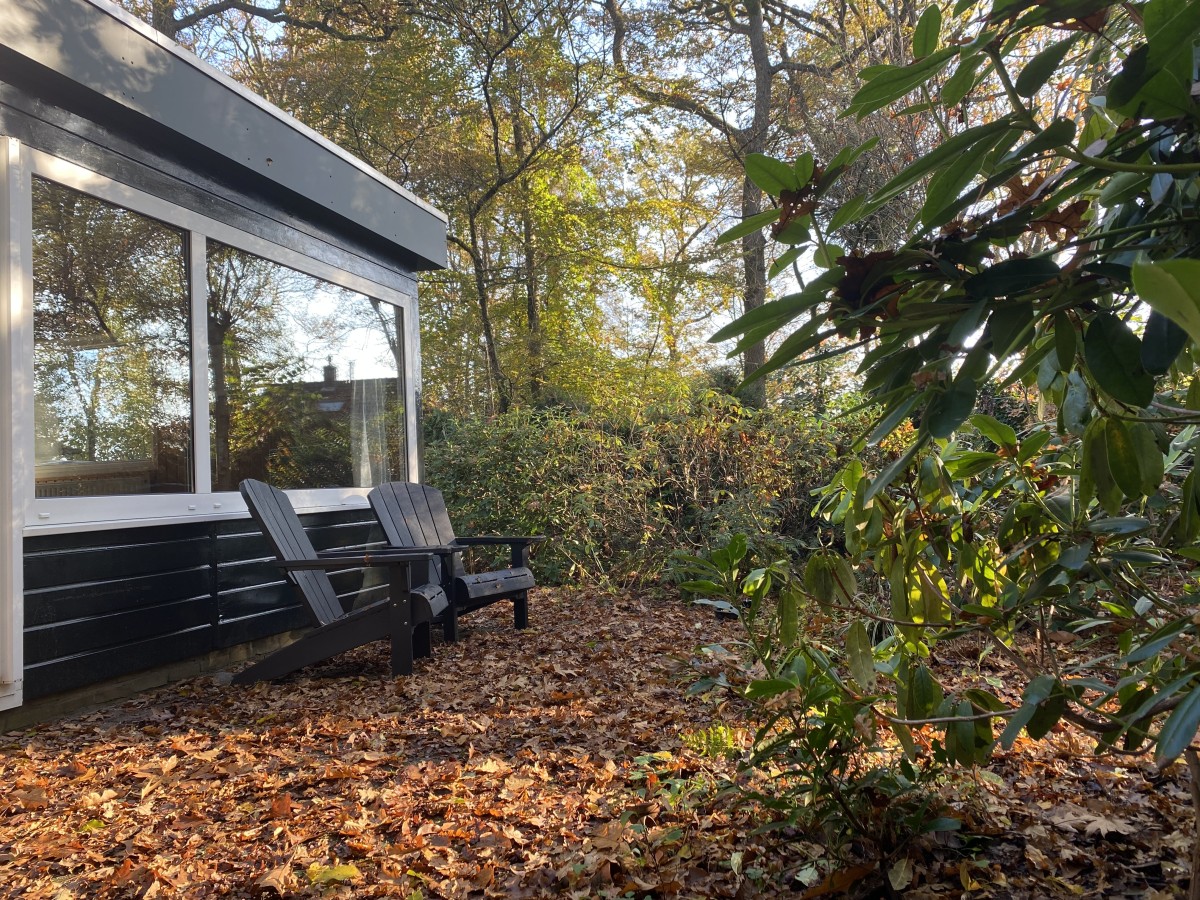 Afbeelding van Boshuisje De Eekhoorn - Doldersum