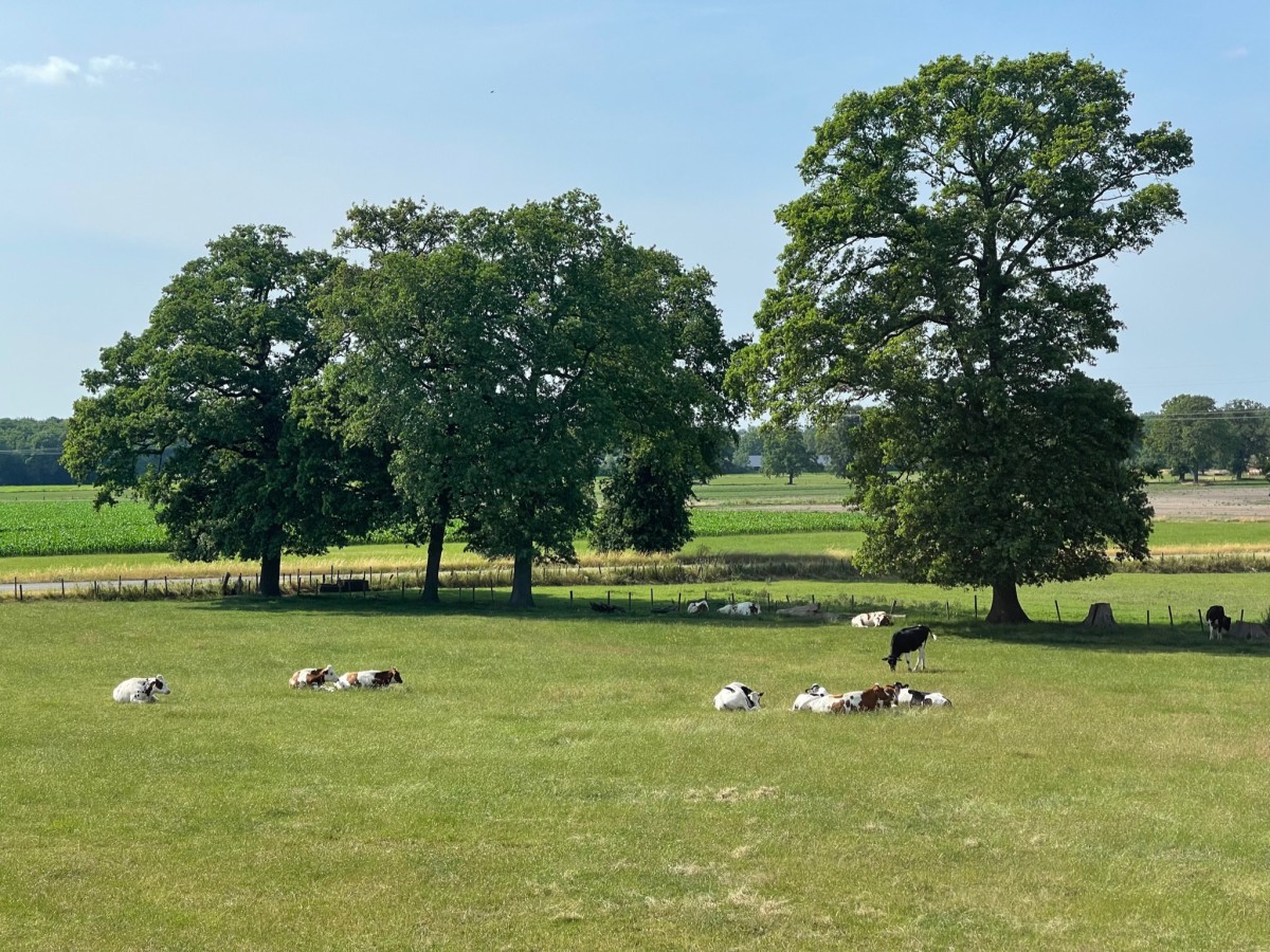 Afbeelding van Woonboerderij Markelo 8 persoons