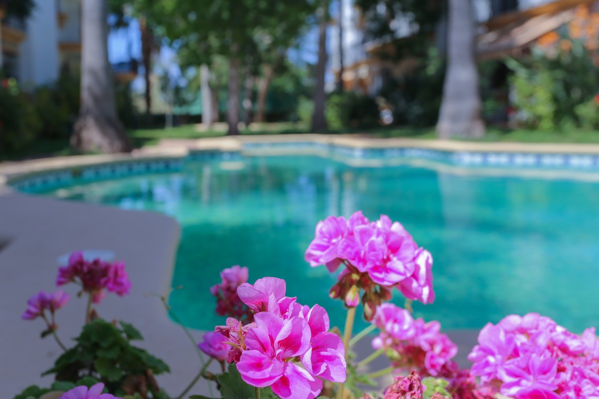 Pictures of Apartment El Patio Block 3, number 1 | Denia