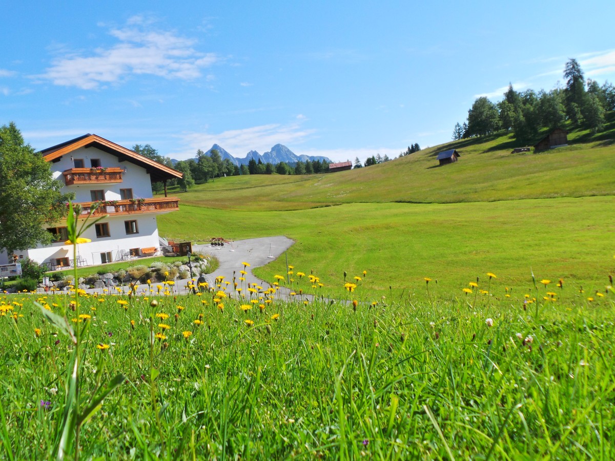Pictures of Haus Wiesenruh-Top 3 - Mountainview with balcony