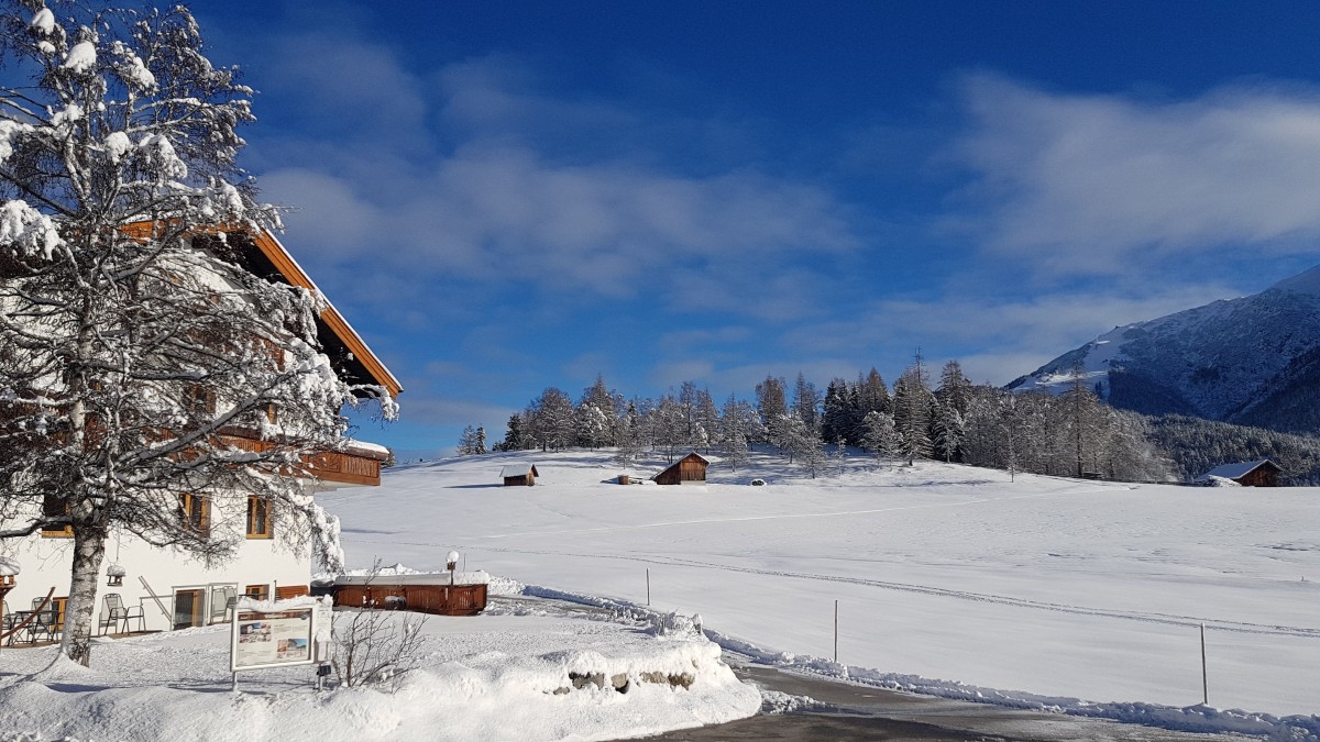 Pictures of Haus Wiesenruh-Top 3 - Mountainview with balcony