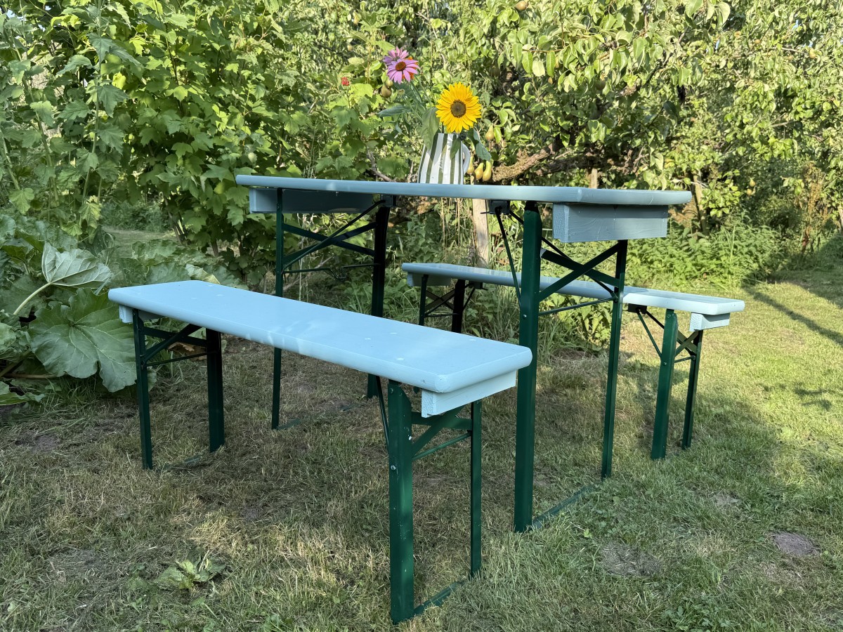 Afbeelding van Goudsbloem