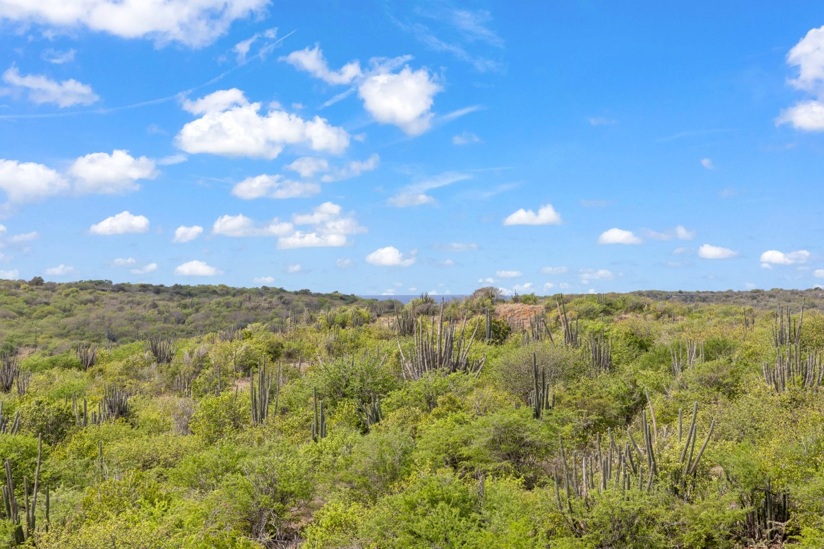 Afbeelding van Vakantiehuis Jan Thiel Jewel