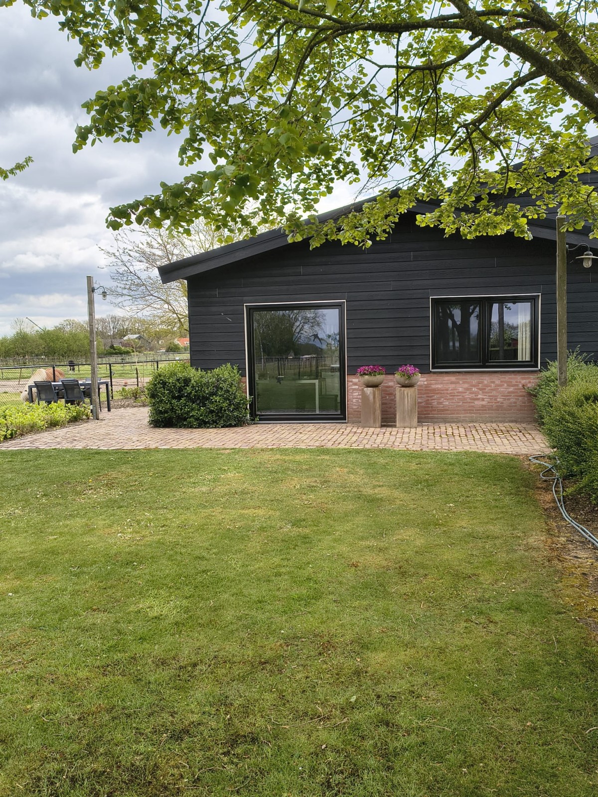 Afbeelding van Studio F