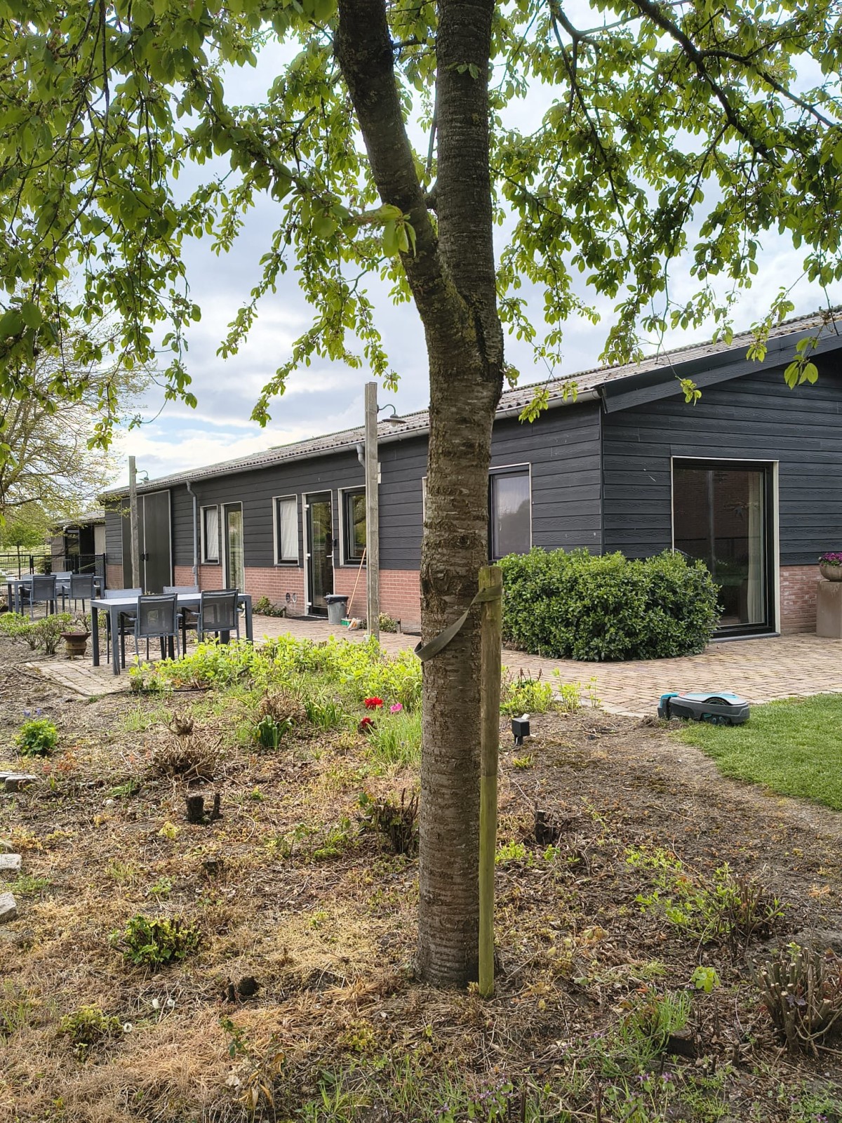 Afbeelding van Studio F