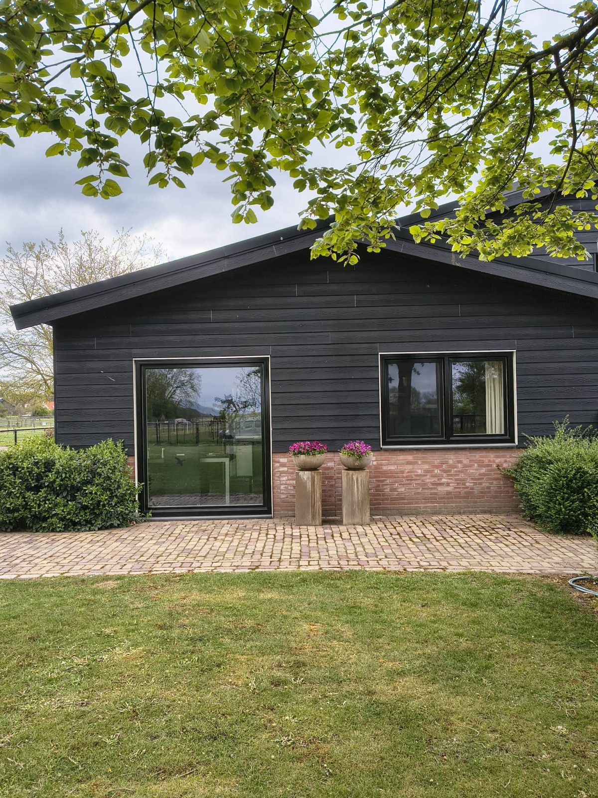 Afbeelding van Studio F