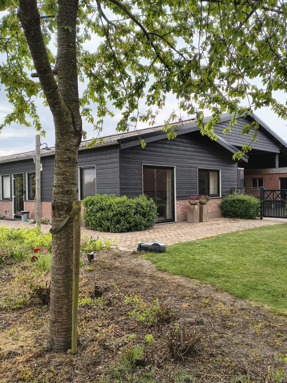 Afbeelding van Studio F