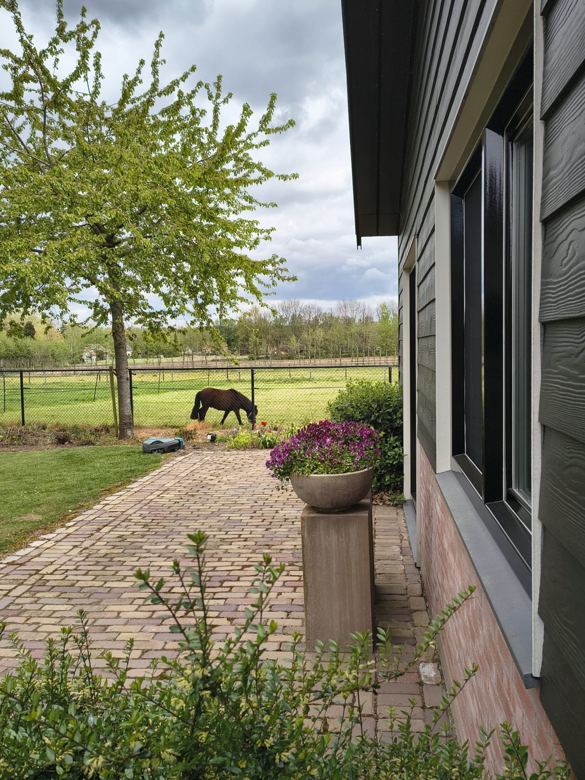 Afbeelding van Studio F