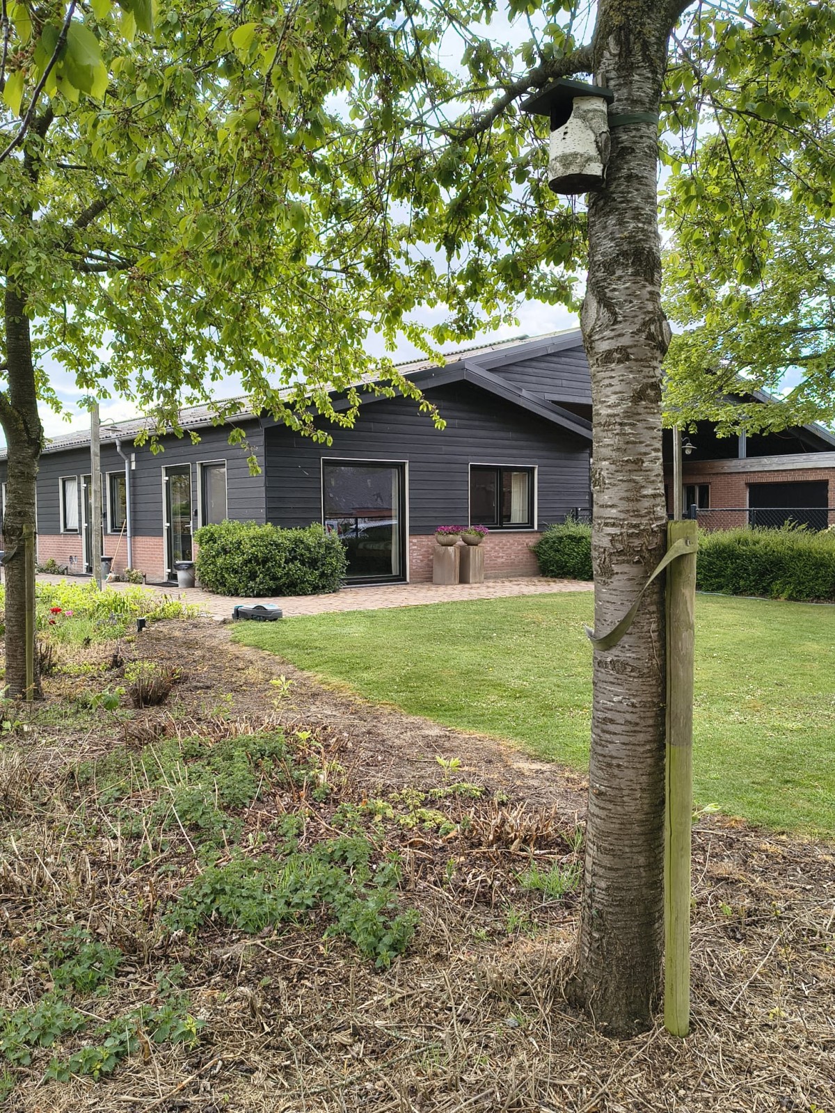 Afbeelding van Studio M