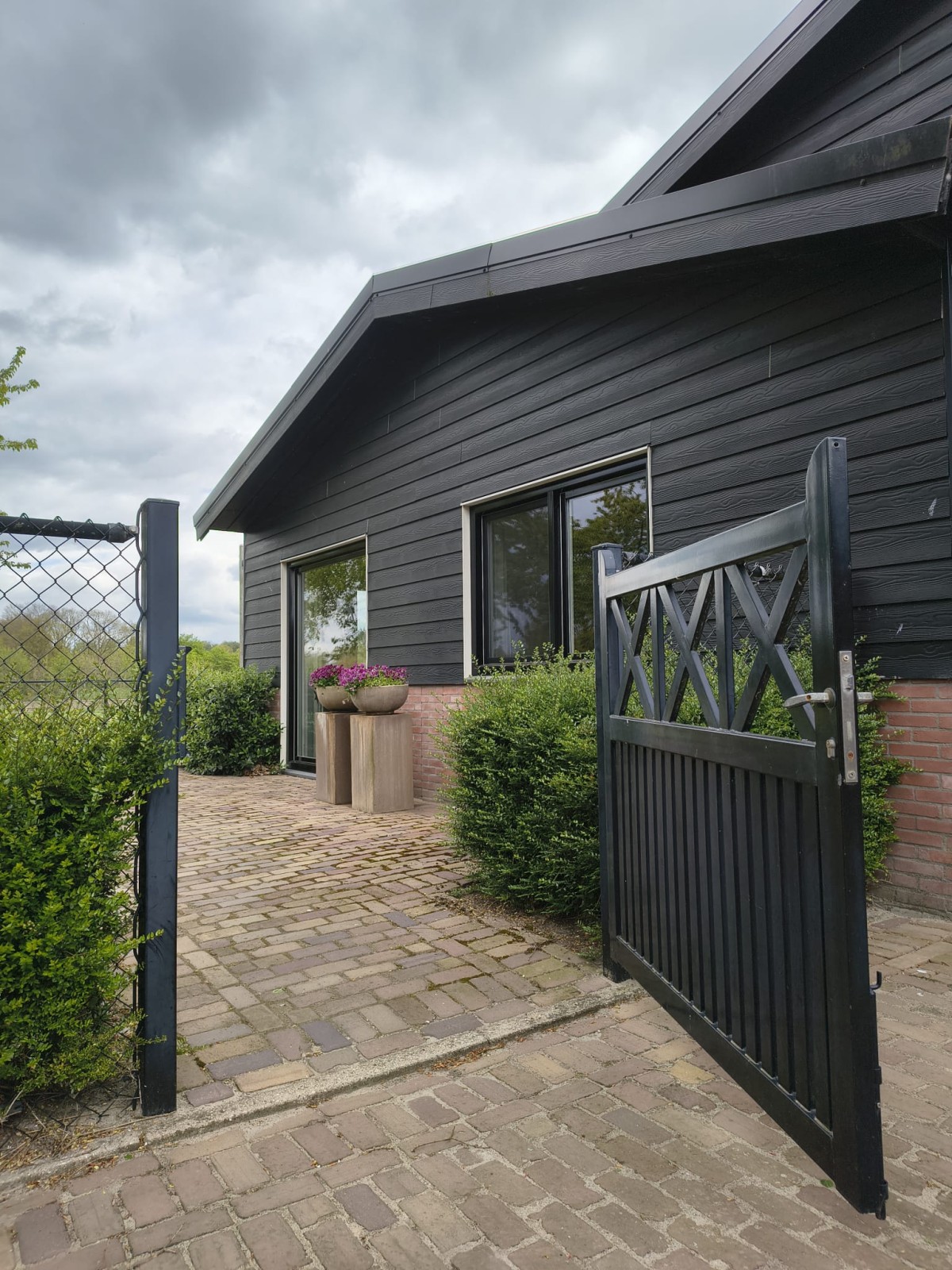 Afbeelding van Studio M