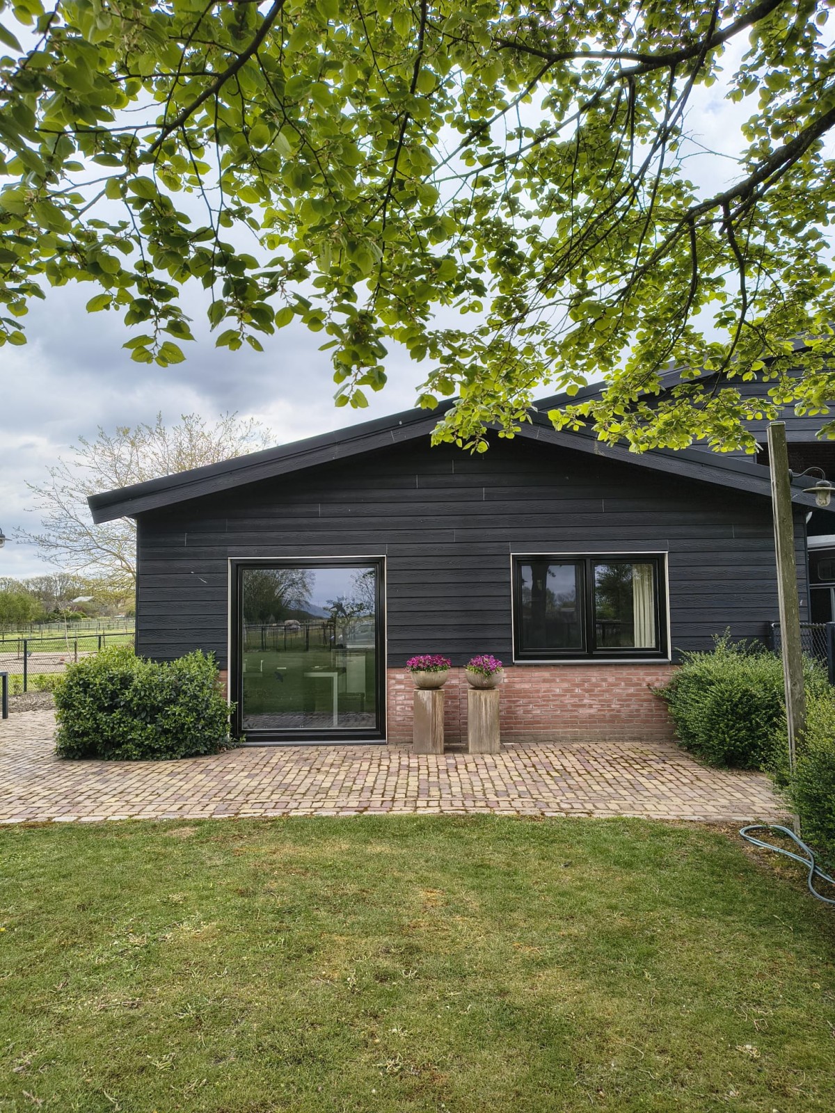Afbeelding van Studio M