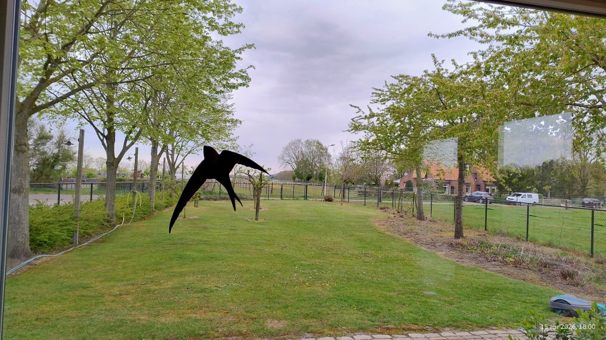 Afbeelding van Studio M