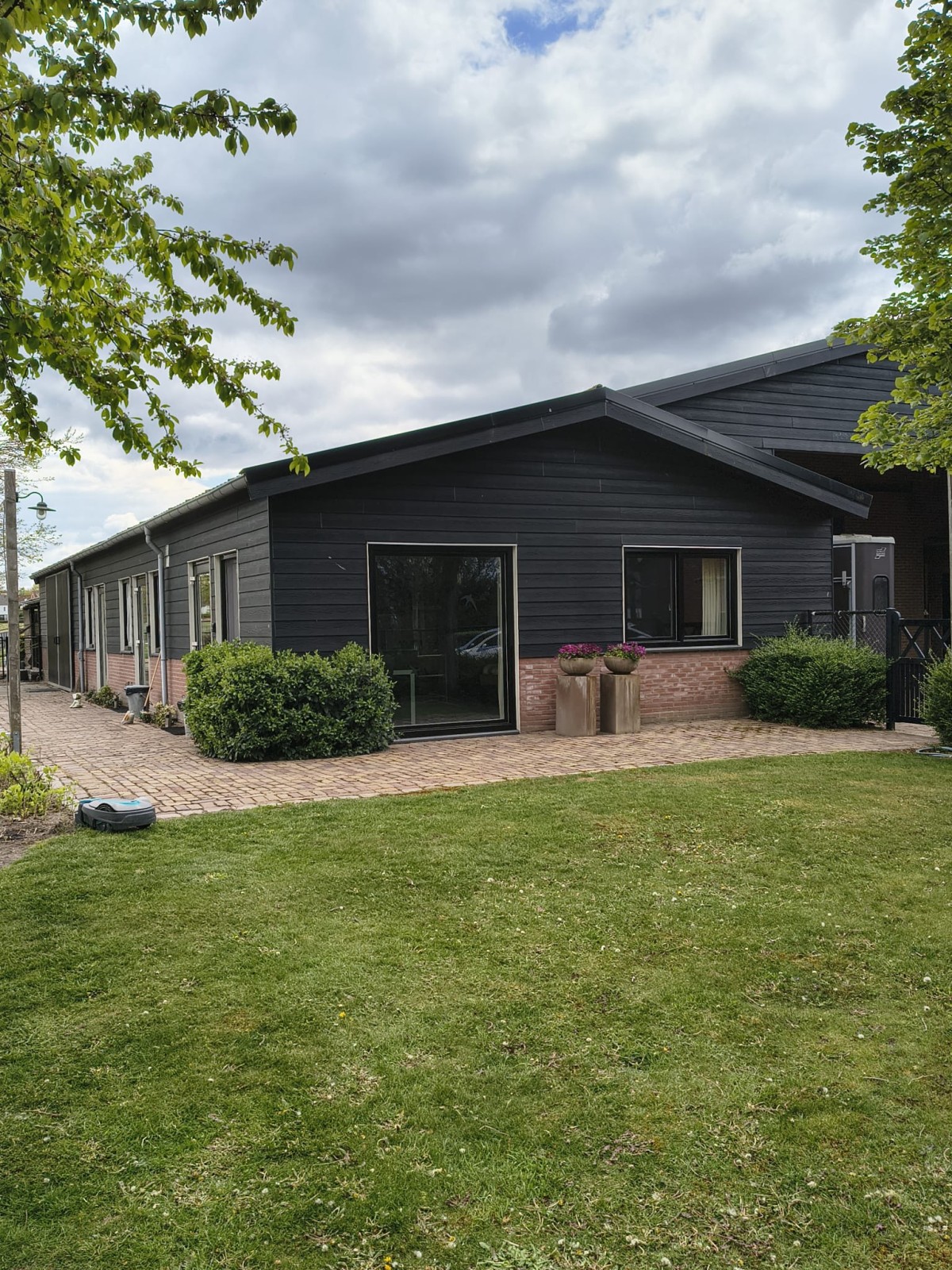 Afbeelding van Studio M