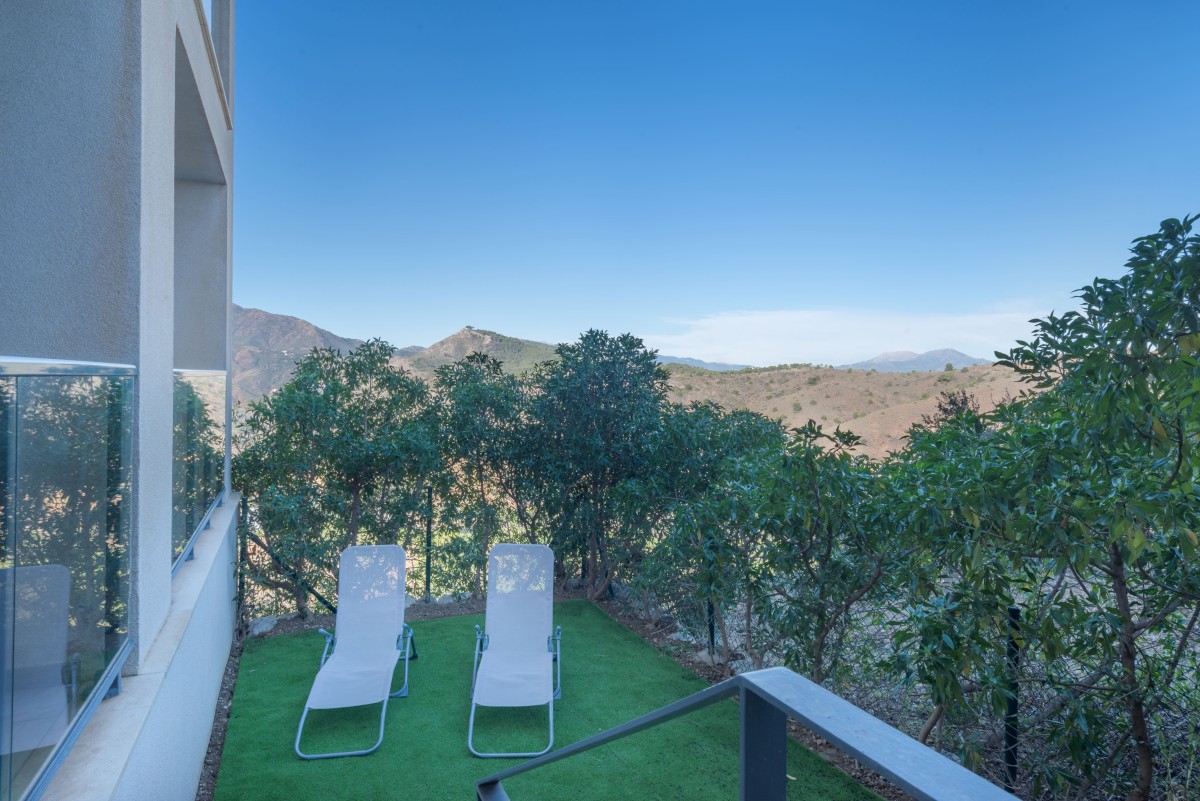 Afbeelding van Hoyo Nueve