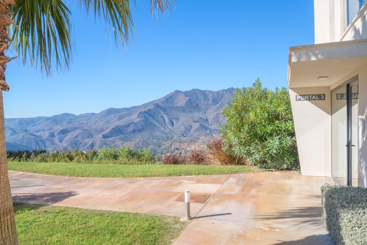 Afbeelding van Hoyo Nueve