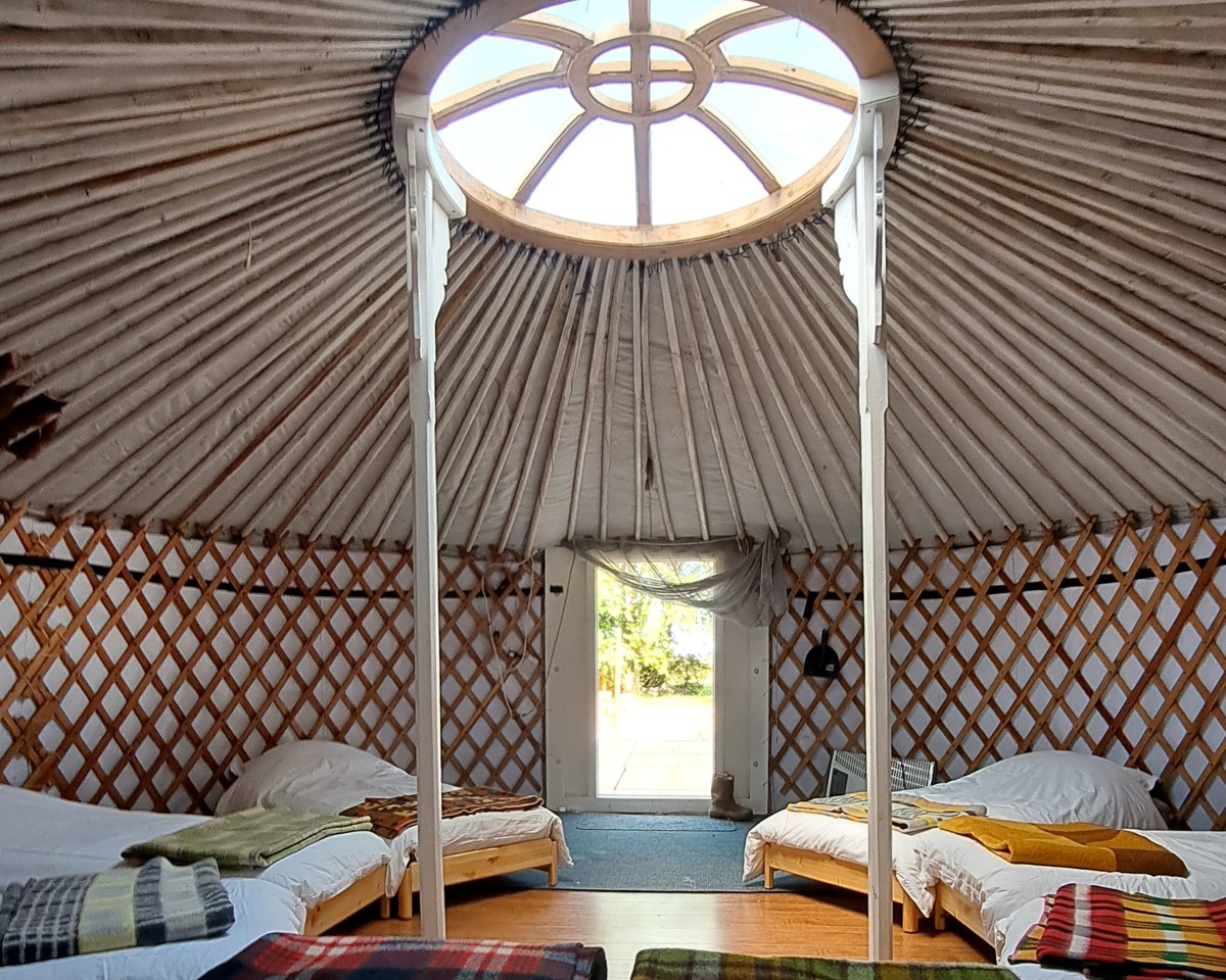 Afbeelding van Witte Yurt & Het Theehuis