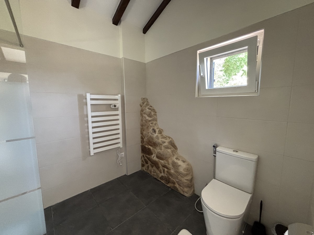 Pictures of The Sleepy Squirrel
 COMING SOON!