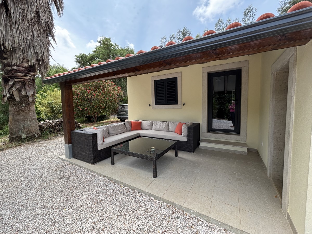 Pictures of The Sleepy Squirrel
 COMING SOON!