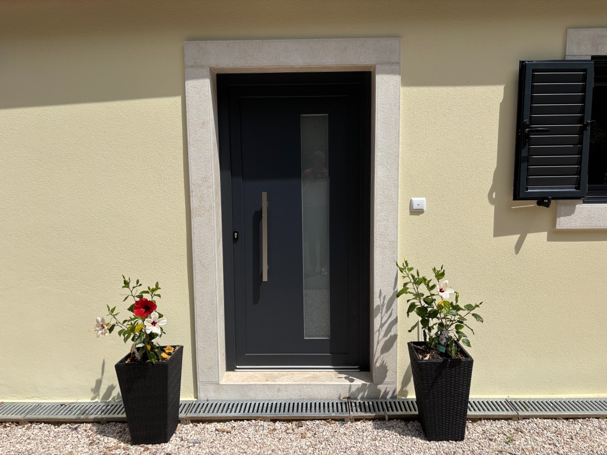 Pictures of The Sleepy Squirrel
 COMING SOON!