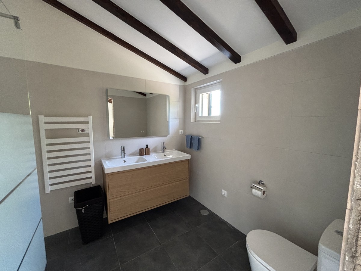 Pictures of The Sleepy Squirrel
 COMING SOON!