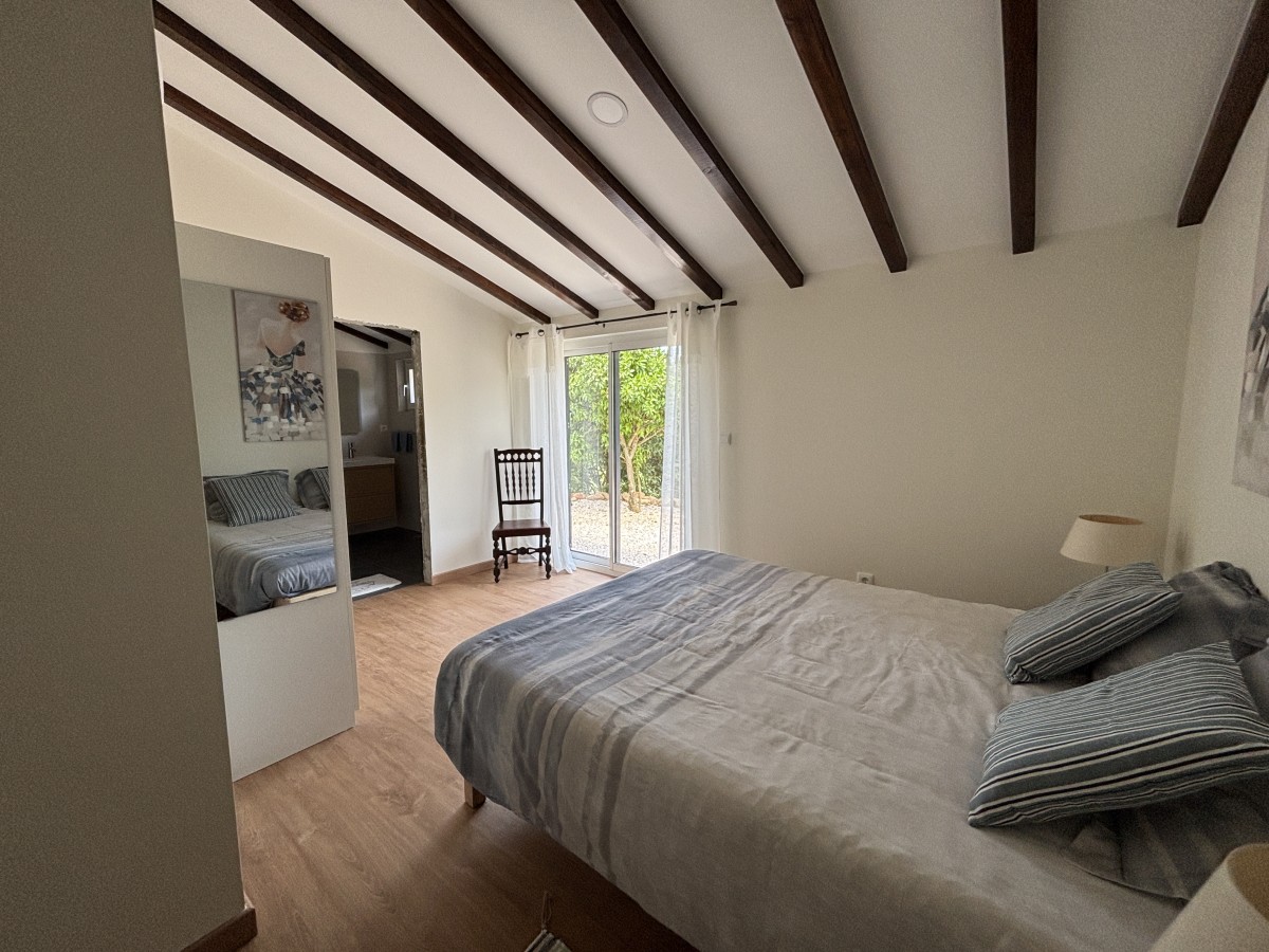 Pictures of The Sleepy Squirrel
 COMING SOON!