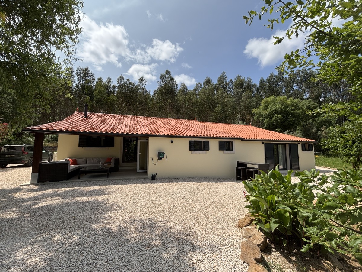 Pictures of The Sleepy Squirrel
 COMING SOON!