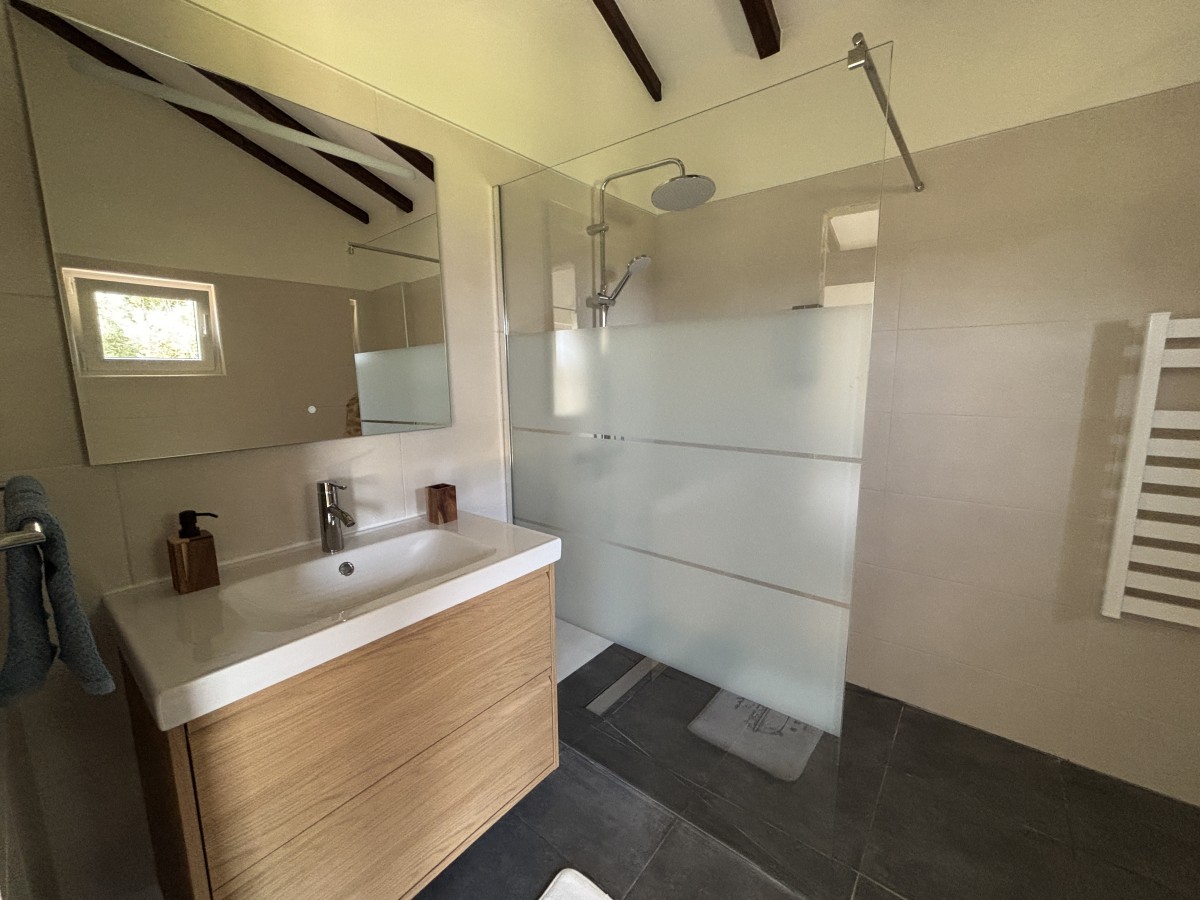 Pictures of The Sleepy Squirrel
 COMING SOON!