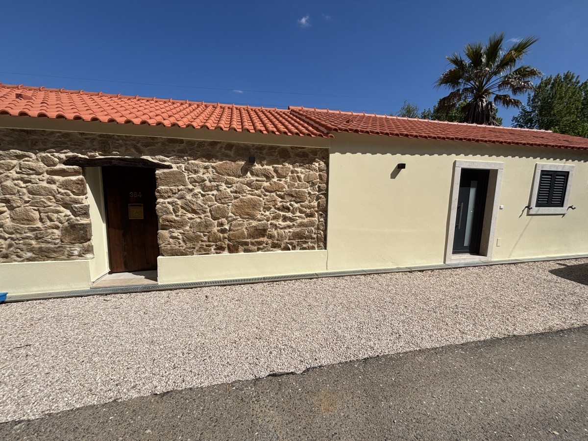 Pictures of The Sleepy Squirrel
 COMING SOON!