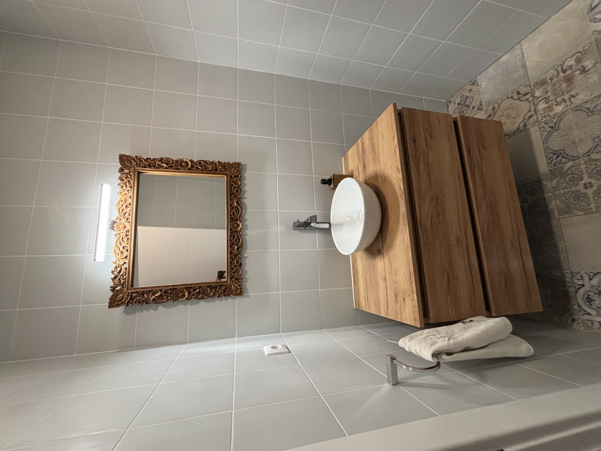 Pictures of The Sleepy Squirrel
 COMING SOON!