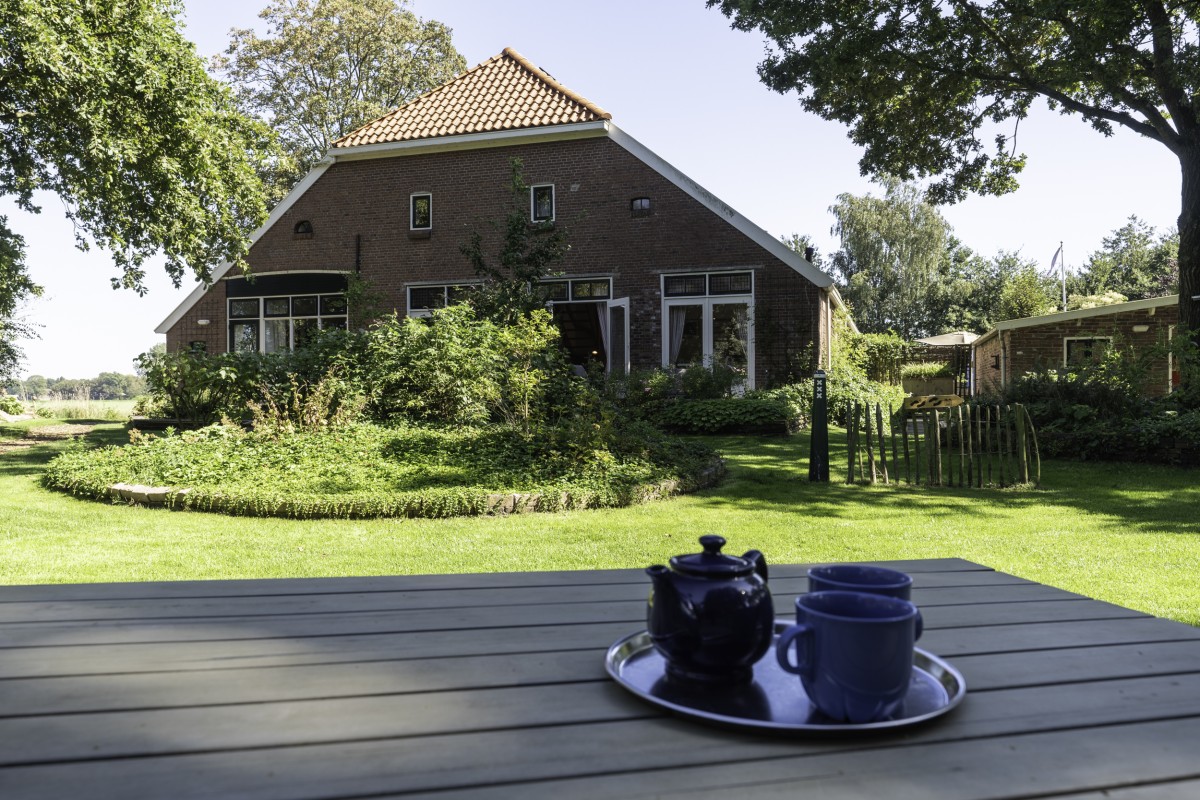 Afbeelding van Salamander, Hermelijn en IJsvogel