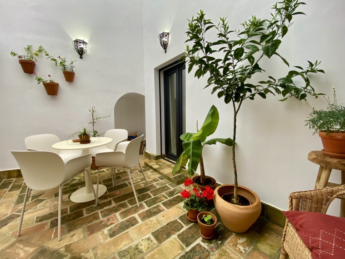 Pictures of Tinte Viejo