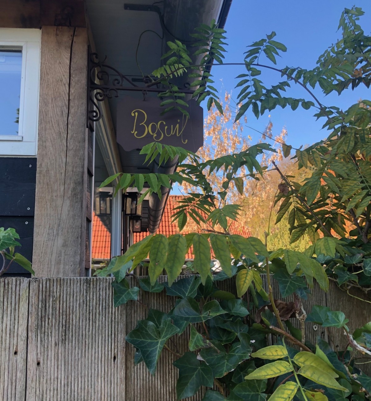 Afbeelding van Bosuil met infrarood sauna