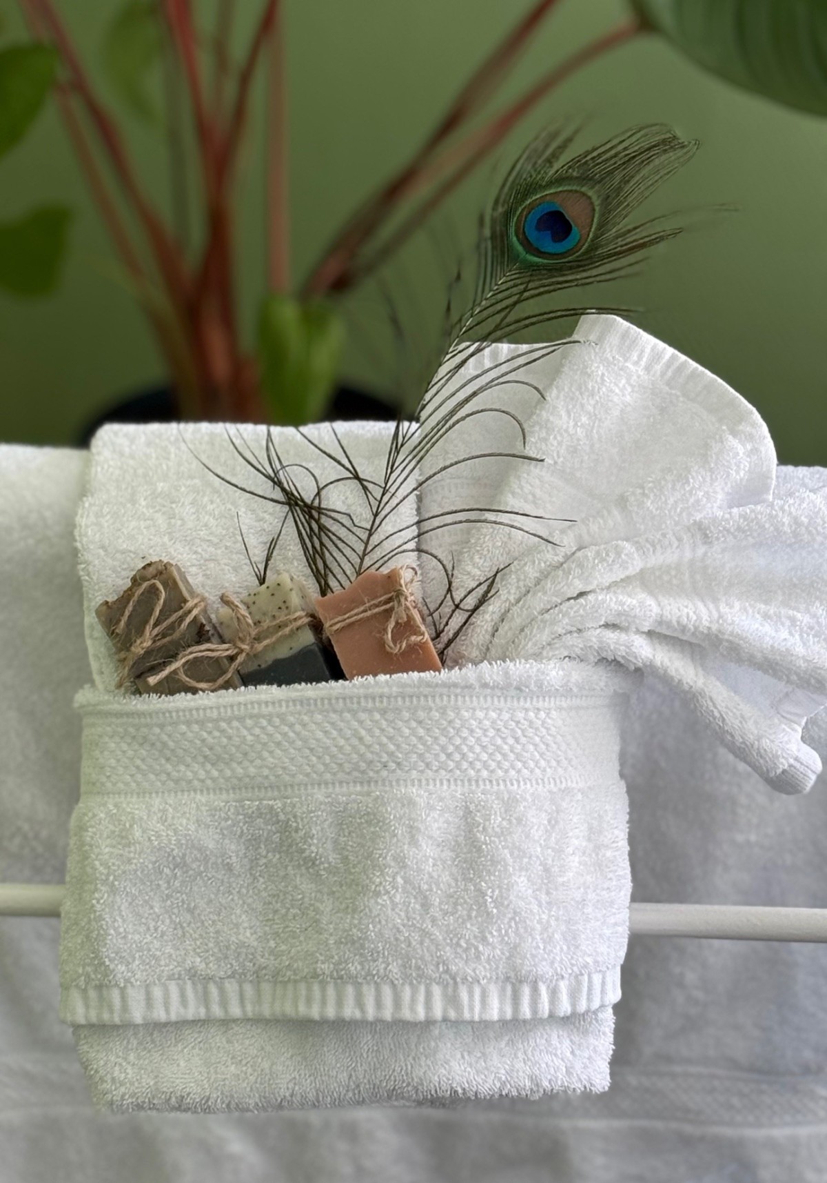 Afbeelding van Eekhoorn met barrelsauna