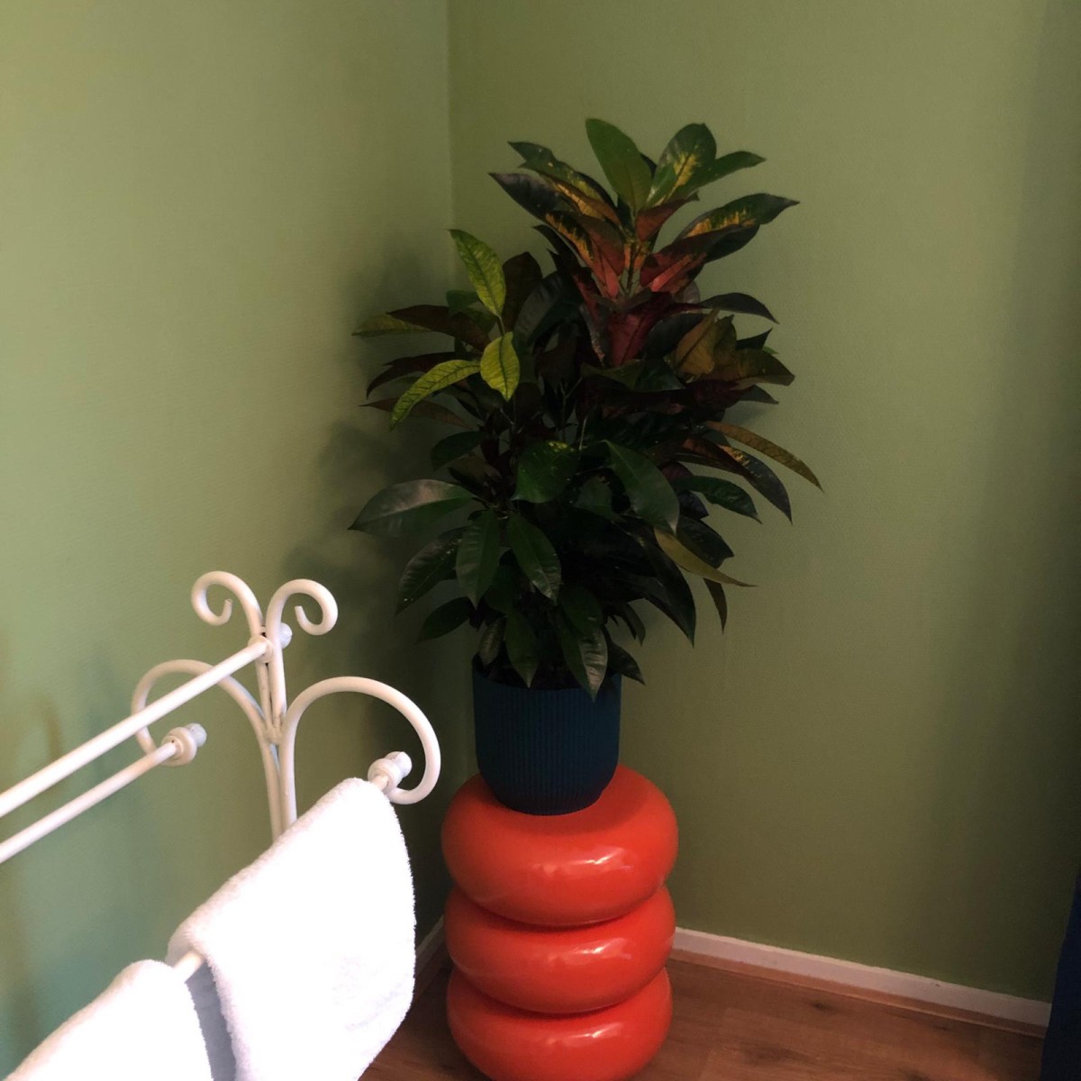 Afbeelding van Eekhoorn met barrelsauna