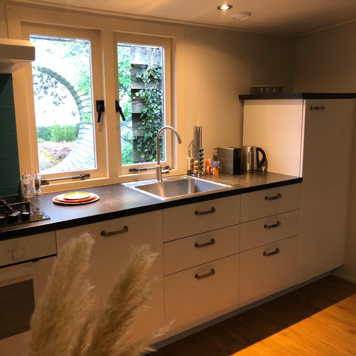 Afbeelding van Eekhoorn met barrelsauna