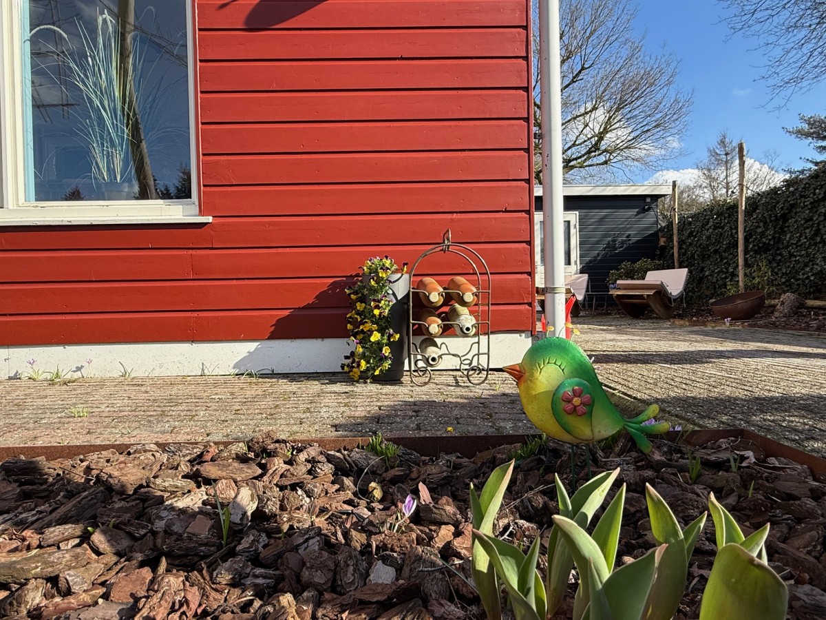 Afbeelding van Eekhoorn met barrelsauna