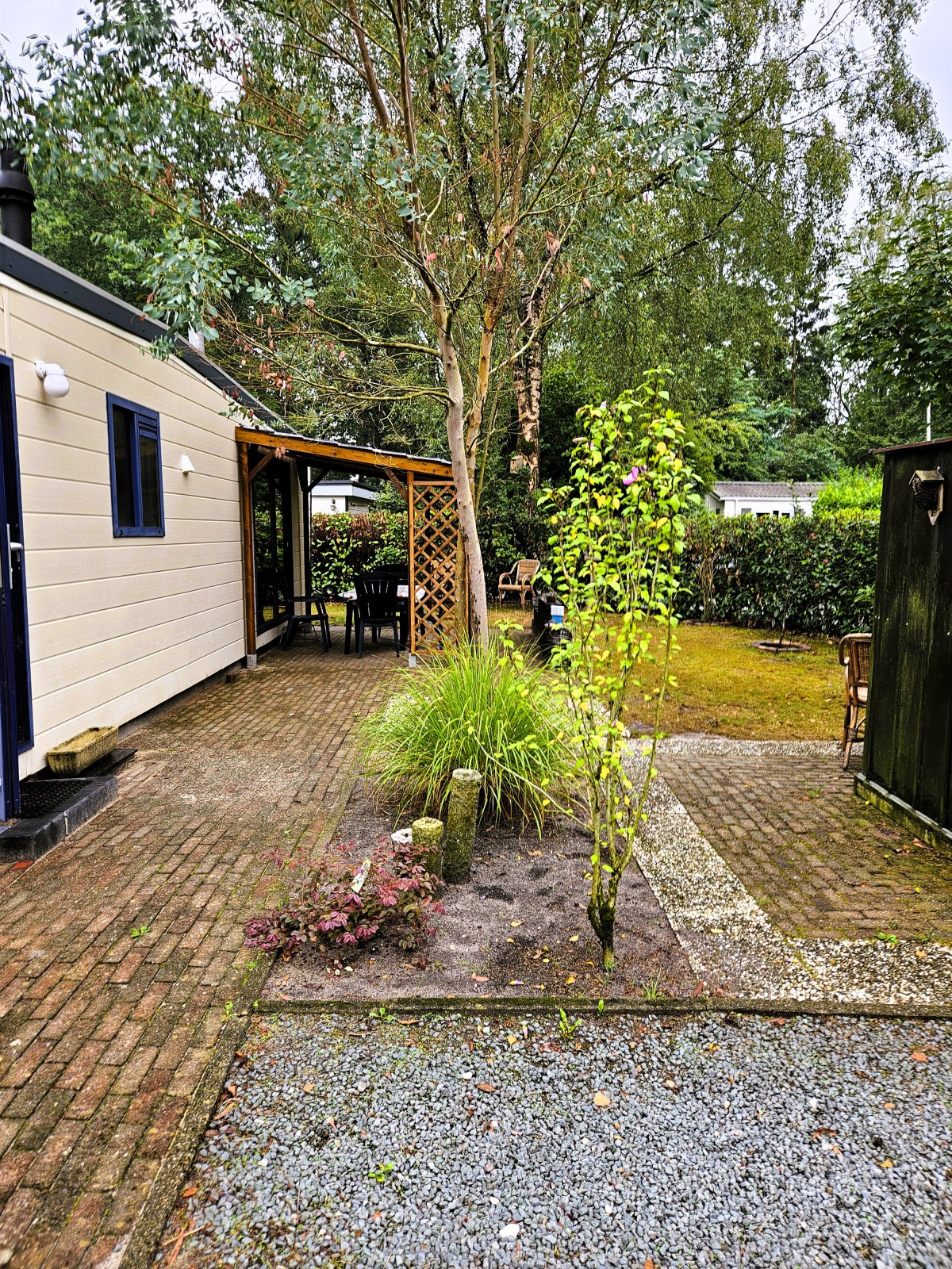 Afbeelding van Het Veluwse nest