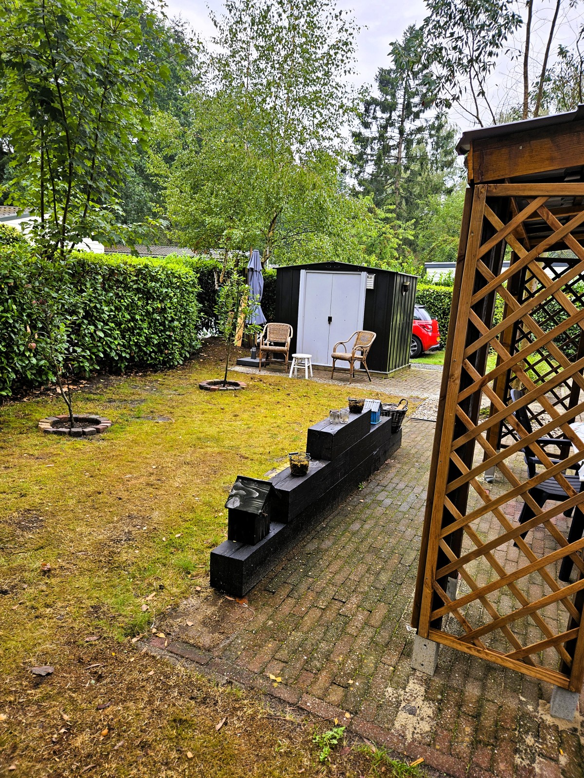 Afbeelding van Het Veluwse nest