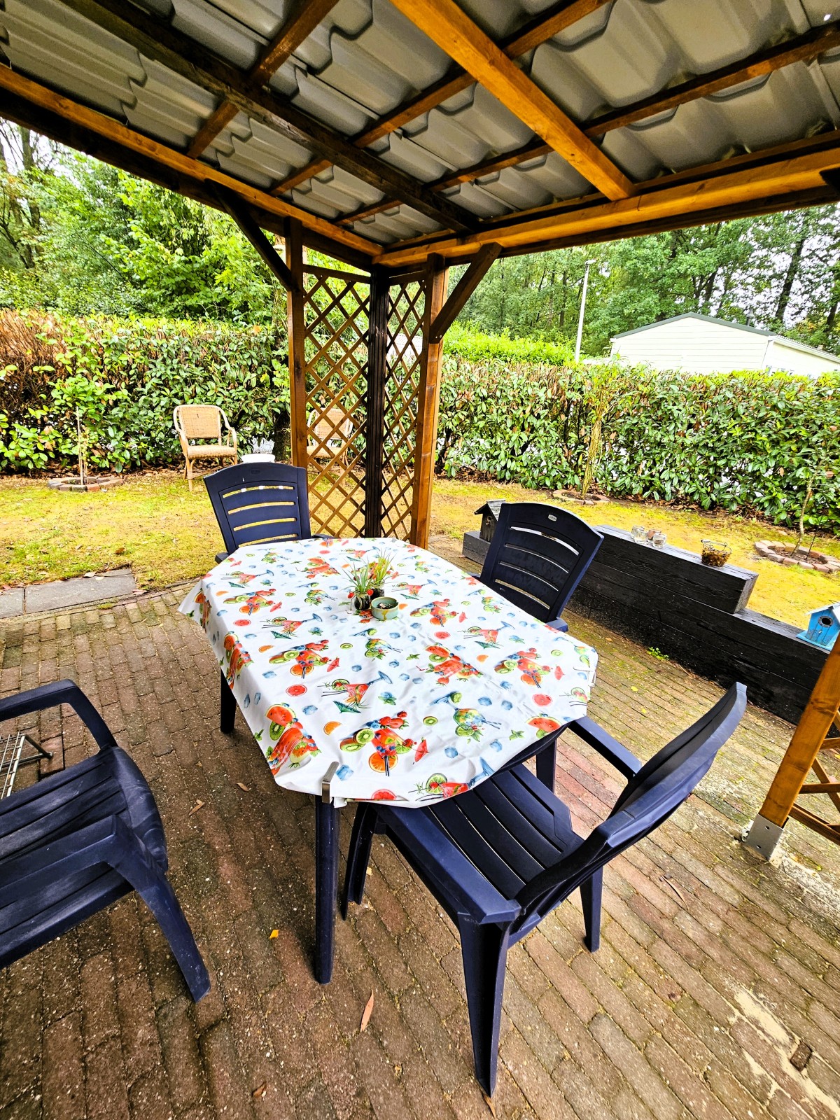 Afbeelding van Het Veluwse nest