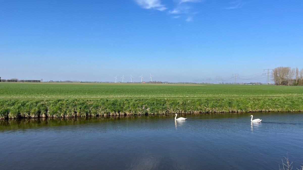 Afbeelding van Hightree House