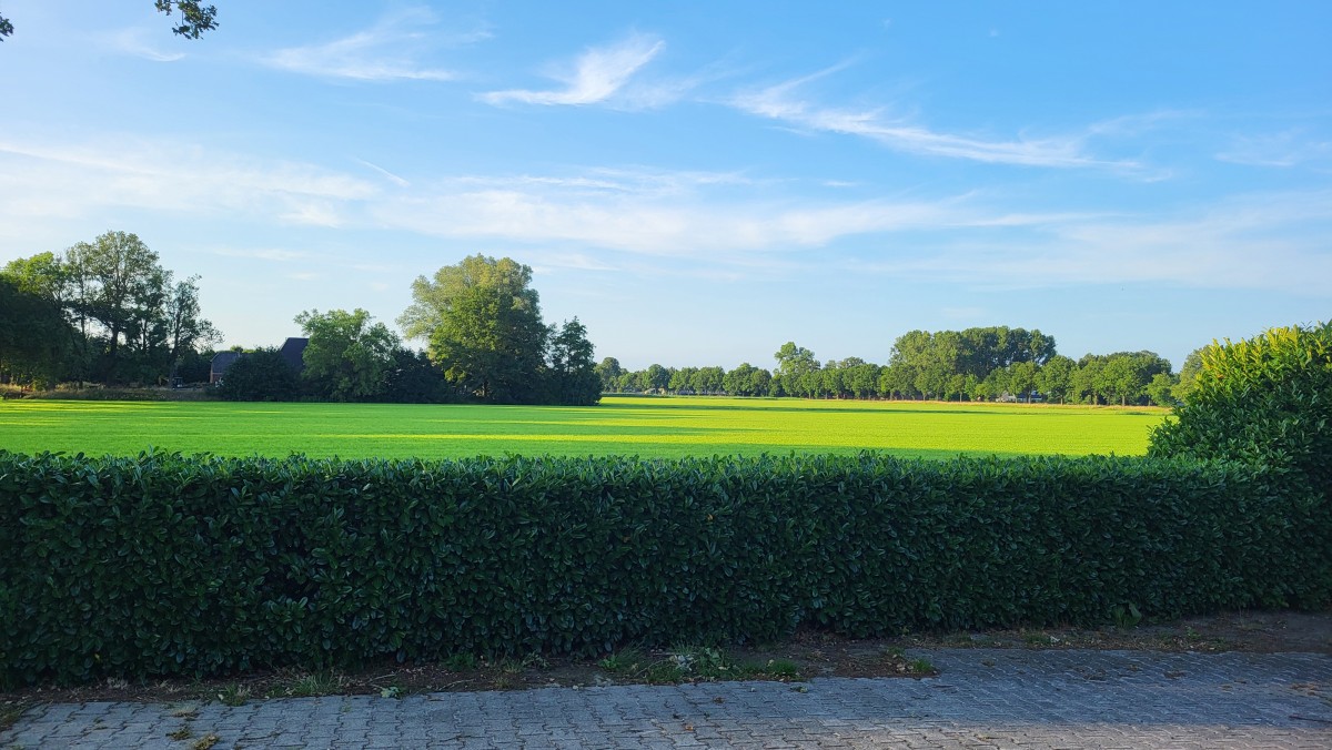 Pictures of アパートメント3 ラグジュアリー