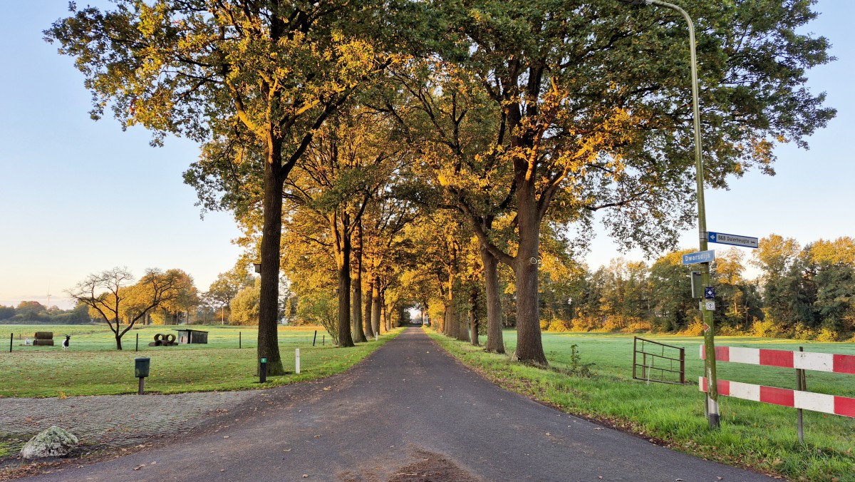 Pictures of アパートメント 4 ウェルネス ジャグジー付き